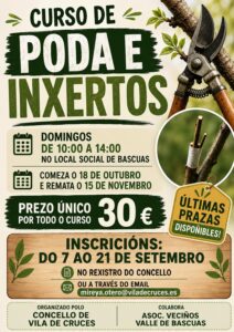 Cartel do curso de poda e inxertos en Bascoas